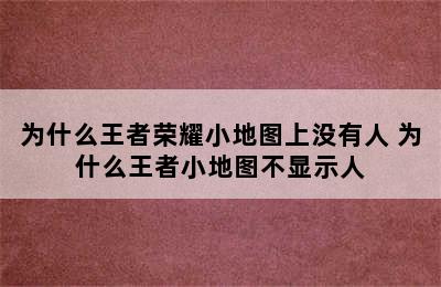 为什么王者荣耀小地图上没有人 为什么王者小地图不显示人